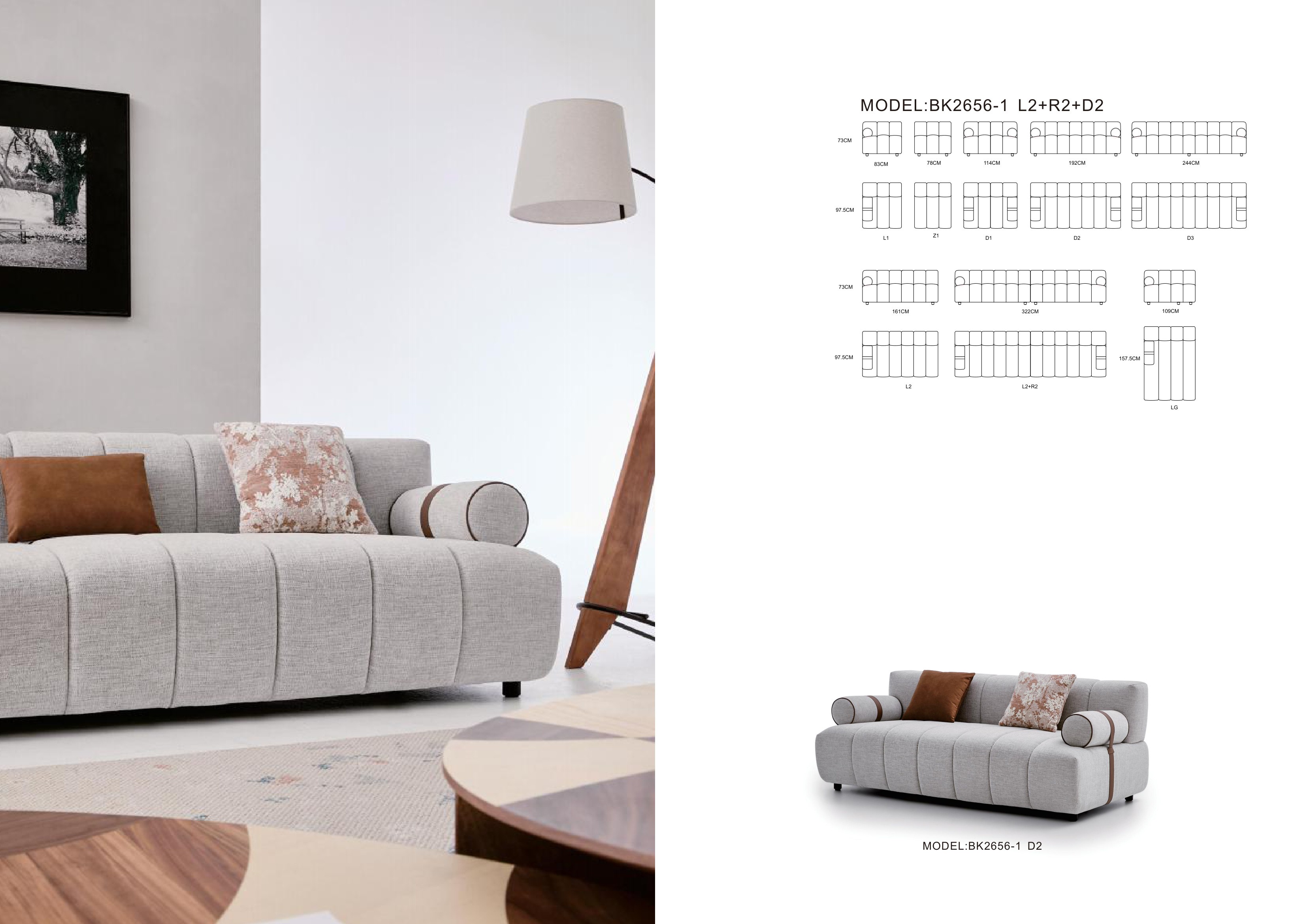 BK2656-1+C2633-2 — scheme