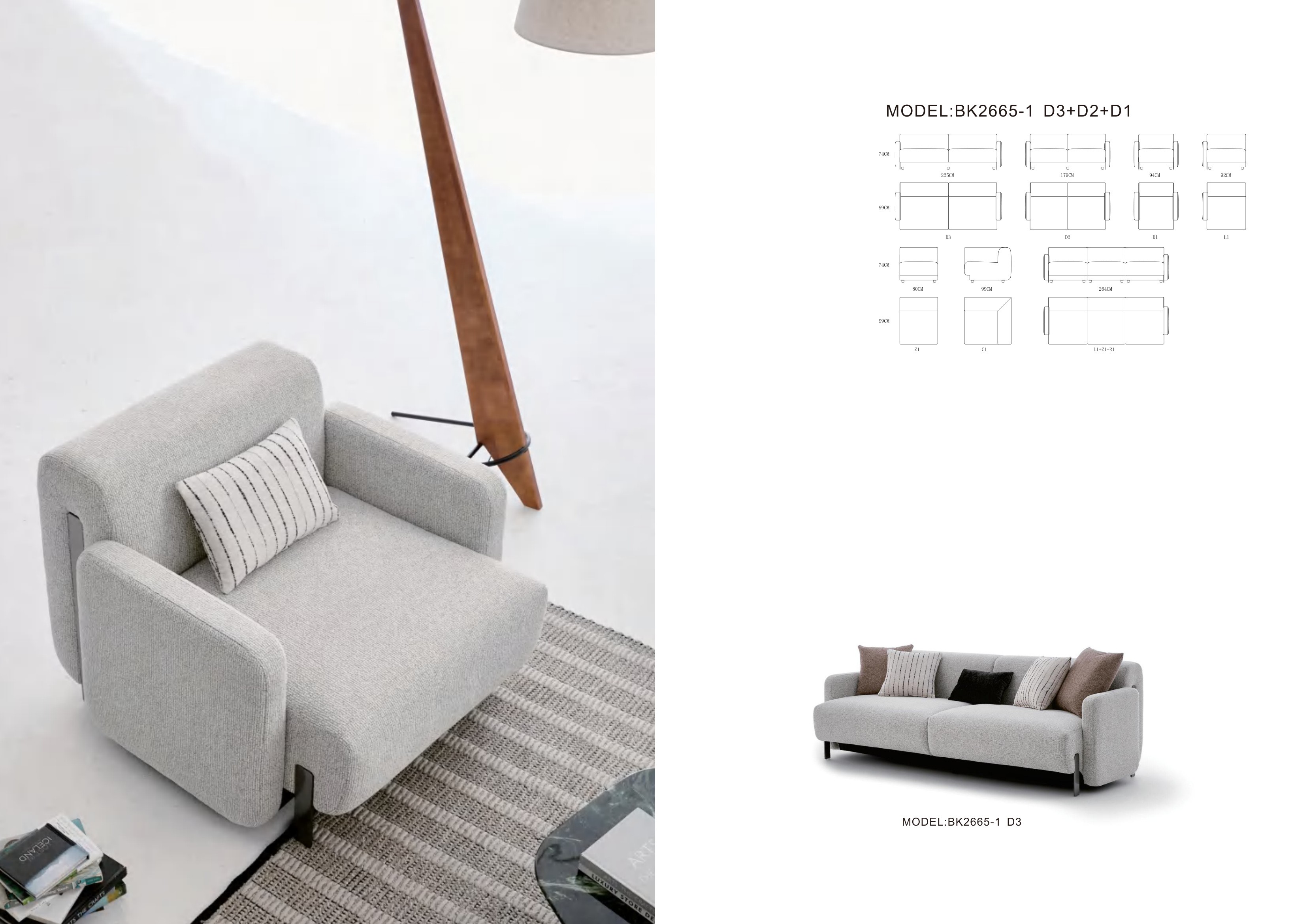 BK2665-1 — scheme